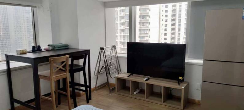 陆杨公寓(陆家嘴店)图片