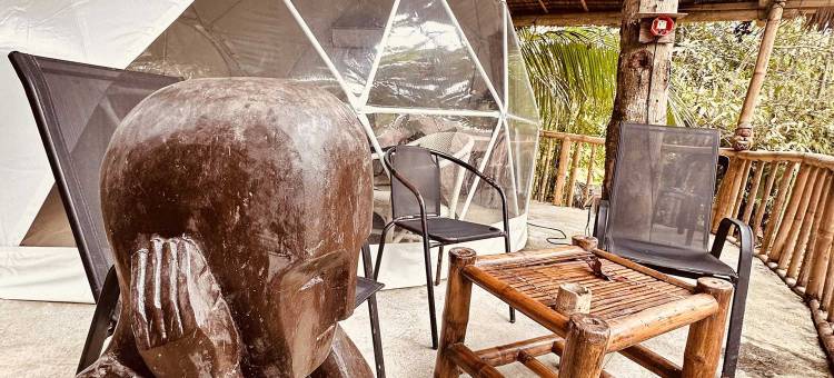 生态树屋豪华露营服务(ECO-TREEHOUSE GLAMPING SERVICES)图片