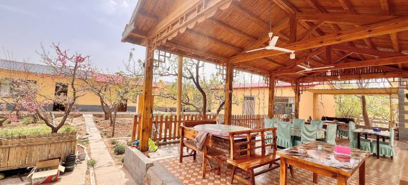 中卫金色田园农家图片