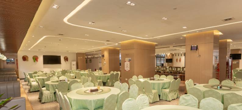 巴马盘阳故里酒店图片