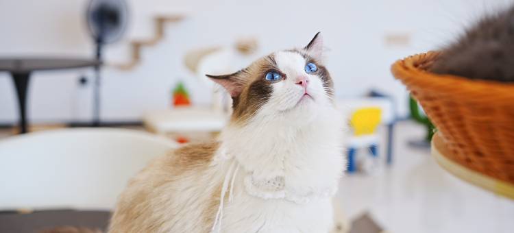 云梦主题酒店(赣州大学城店)图片