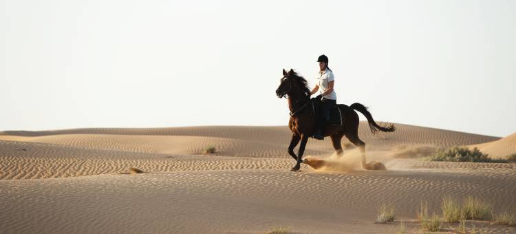 迪拜阿玛哈豪华精选沙漠水疗度假酒店(Al Maha, a Luxury Collection Desert Resort & Spa, Dubai)图片
