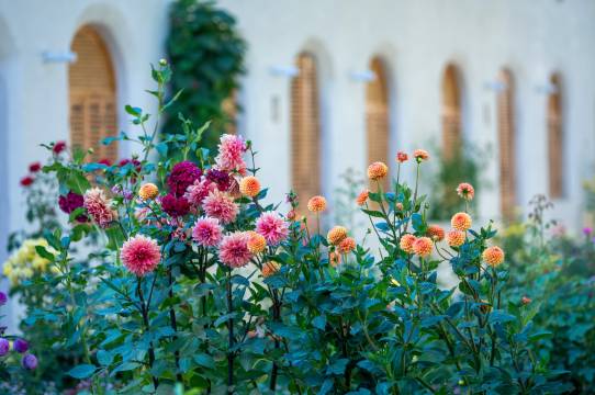 霍城悠悠民宿(晃晃村店)图片