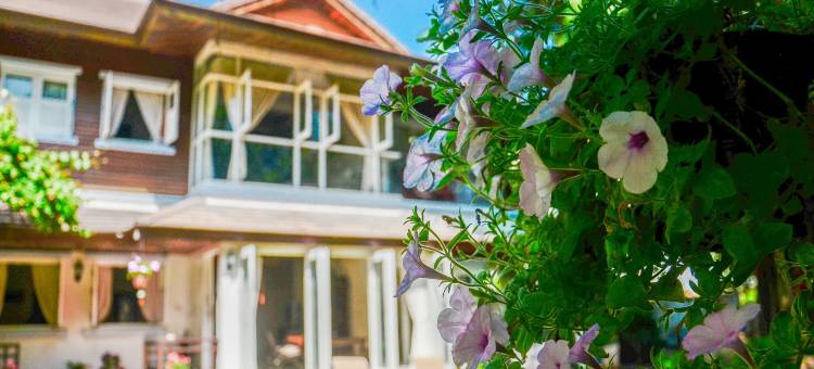 苏梅岛班扬豪斯住宿加早餐旅馆(限成人)(Banyan House Samui Bed and Breakfast (Adult Only))图片