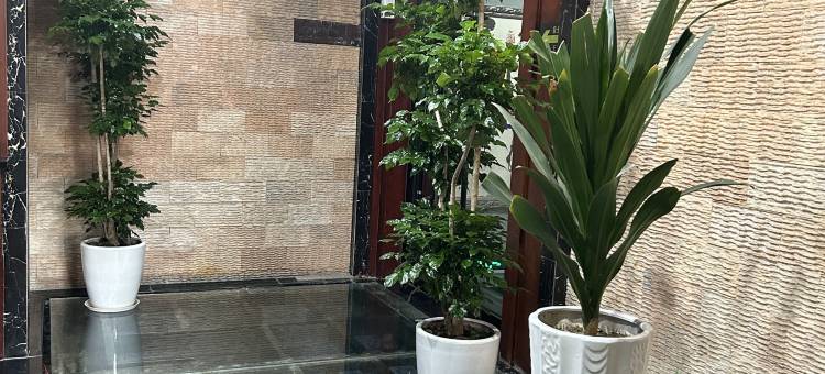 如家华驿精选酒店(阆中古城店)图片