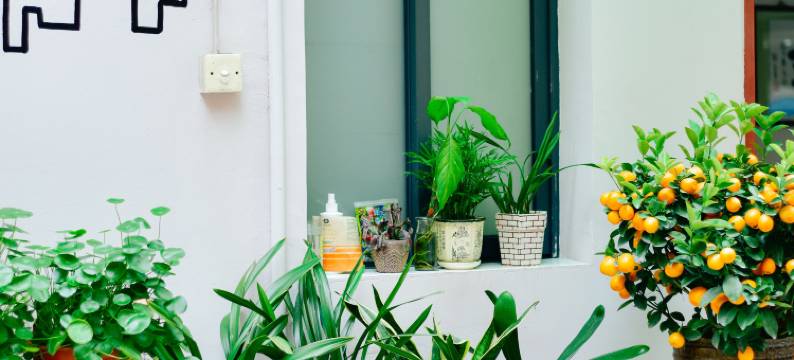 广州临江公寓(海印桥滨江中路店)图片