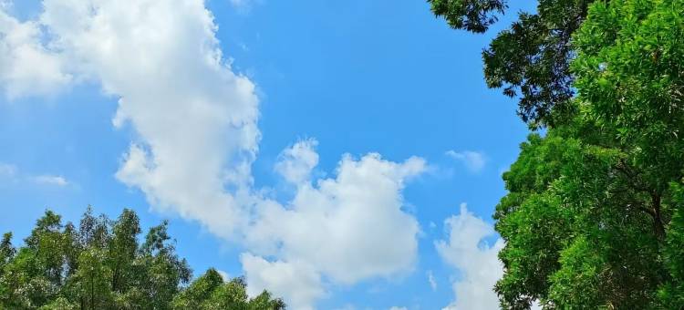 佛山希芙酒店(南海狮山店)图片