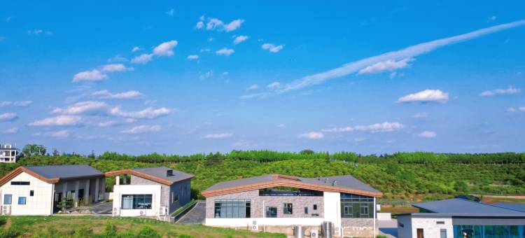 鑫旅·良栖山院民宿(司马光油茶园店)图片