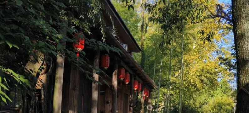 磐安山森三室民宿图片