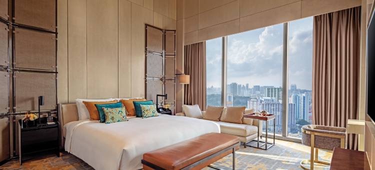 新加坡市中心索菲特酒店(Sofitel Singapore City Centre)图片