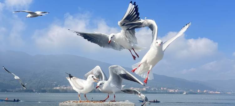 昆明锦江大酒店图片