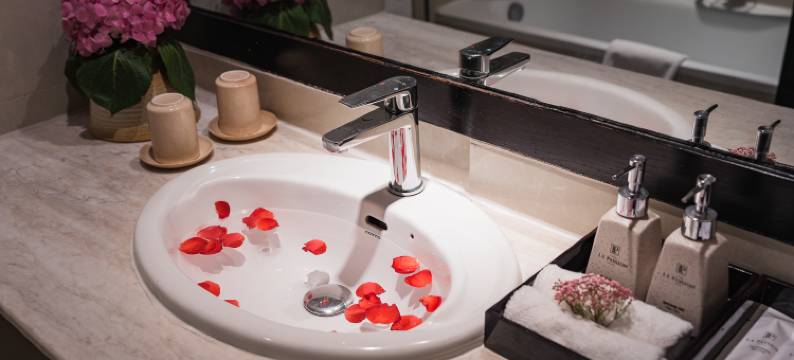 拉帕森经典酒店(La Passion Classic Hotel)图片