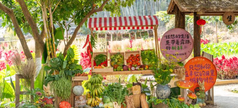 三顾茅庐民宿(帽峰山森林公园店)图片