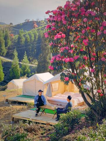 金坡云舍民宿(百里杜鹃风景区店)