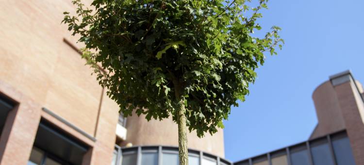 布鲁日马丁斯酒店(Martin's Brugge)图片