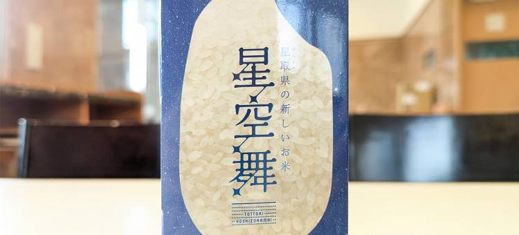 东横INN-鸟取站南口(Toyoko Inn Tottori Station Minami)图片