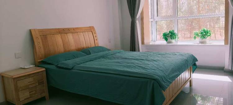 武威重离子康养民宿图片