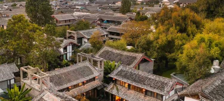 菩提小院图片