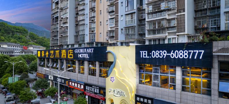剑阁紫金艺术酒店图片