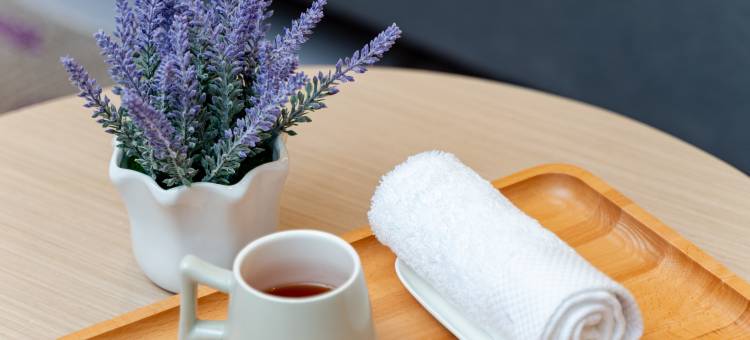 麗枫酒店(景德镇陶溪川北路店)图片