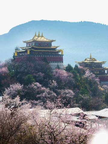 相逢不晚SilveryMoonlight|慢城供氧设计师民宿(独克宗古城大佛寺转经筒店)图片