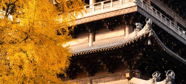 濮院时尚古镇四眼井客栈图片