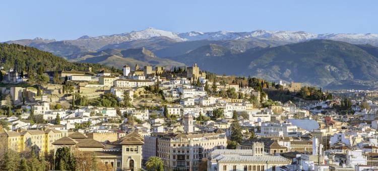 格拉纳达马丁纳塞尔科蒂尔 HMO 酒店(Sercotel HMO Martina Granada)图片