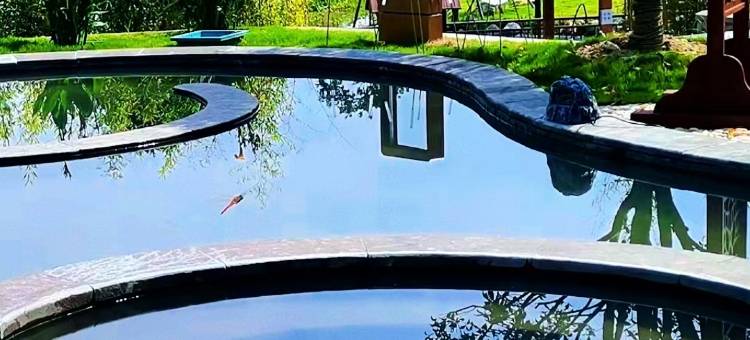 宜丰洑溪天沐汤集酒店图片