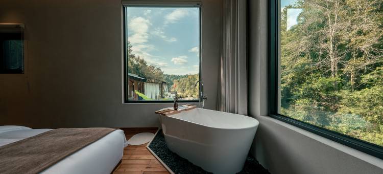 山隐一树民宿(景德镇陶瓷大学店)图片