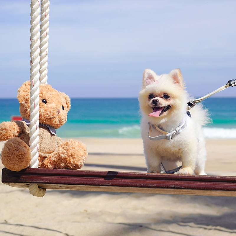 三亚亚龙湾万豪度假酒店图片