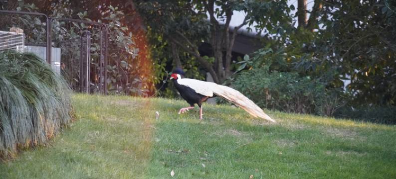 衢州东方桥庵里酒店图片
