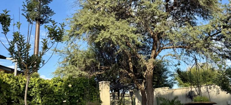 梦之林酒店(Droombos)图片