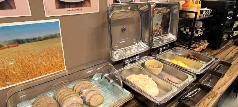 特托拉斯普利札幌酒店(Hotel Tetora Spirit Sapporo)图片