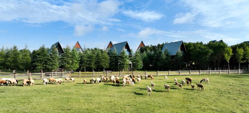 仙凤三宝度假酒店图片