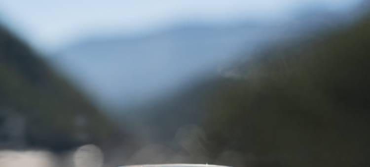 拉吾塔布酒店(亚东店)图片