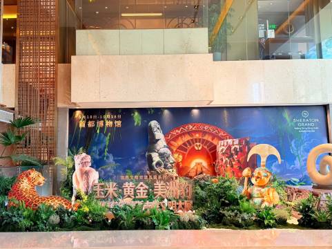 北京金隅喜来登大酒店图片