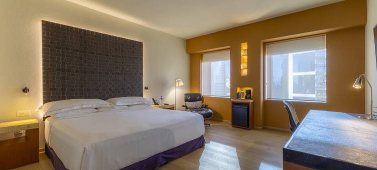 蒙特雷巴耶巴塞罗(Barceló Monterrey Valle)图片