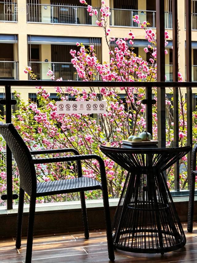 丽江M酒店(古城区店)图片