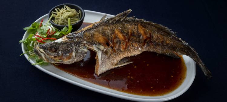 凯恩斯铂尔曼礁娱乐城酒店(Pullman Reef Hotel Casino)图片