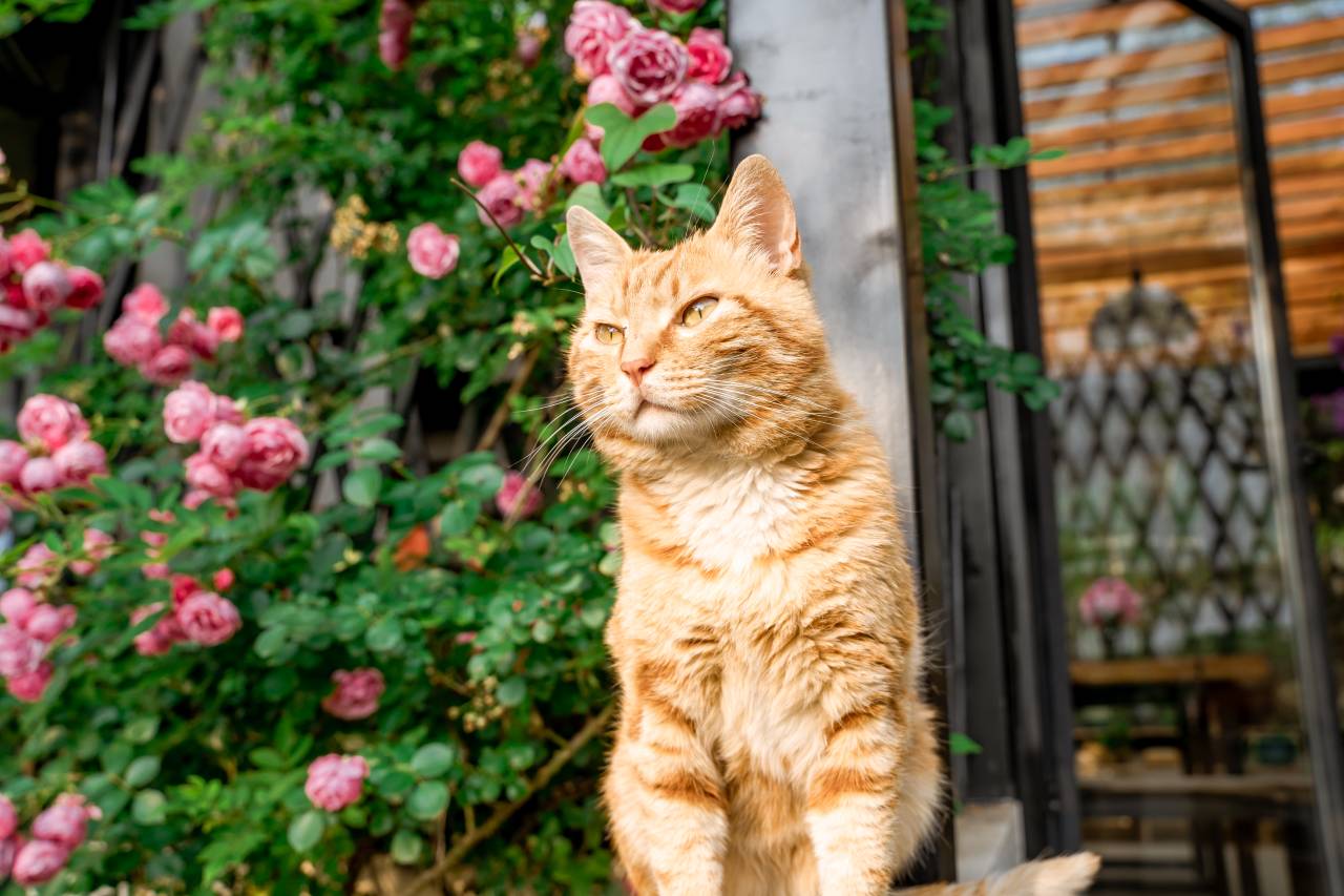 清镇引舍故里康养度假民宿(红枫湖景区店)图片