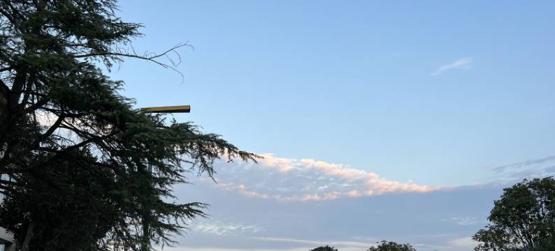 商城财和温泉酒店图片