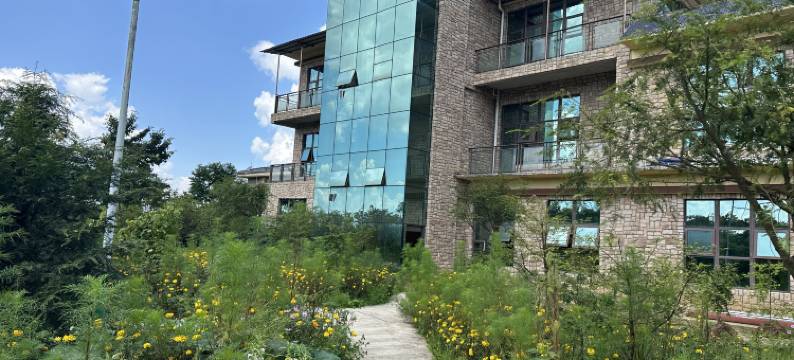 阿依林海红豆杉酒店图片