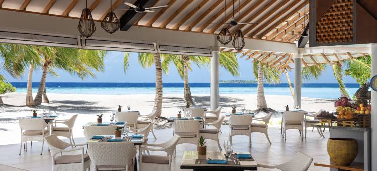 马尔代夫NH哈沃达度假村(NH Collection Maldives Havodda Resort)图片