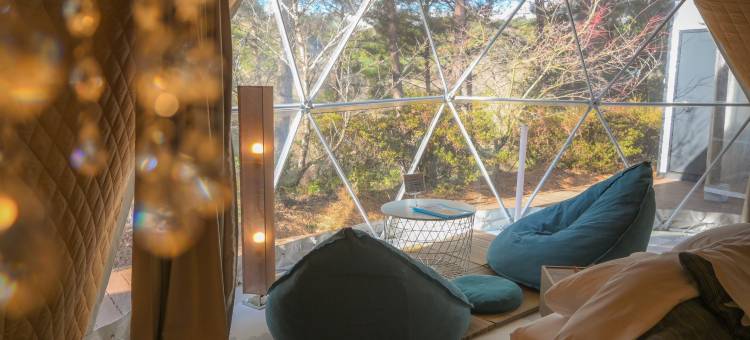 glampark 长野月下美人(glampark Gekkabijin Nagano)图片