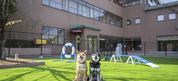 泉乡滨名湖汪汪乐园(Izumigo Lake Hamana Dog Paradise)图片