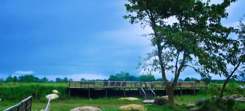 奇特旺斯巴纳酒店(Sapana Village Lodge)图片