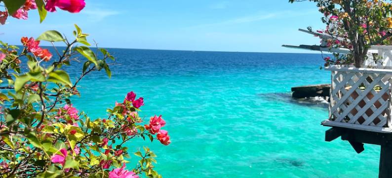 悦榕庄别墅酒店(新游客码头店)24h中国管家(Banyan Tree Villa Hotel)图片