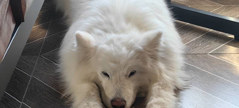 乌鲁木齐石景山庄图片