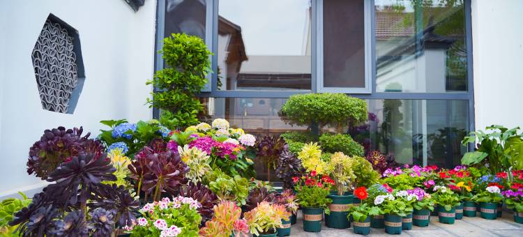 山里各庄校园民宿图片