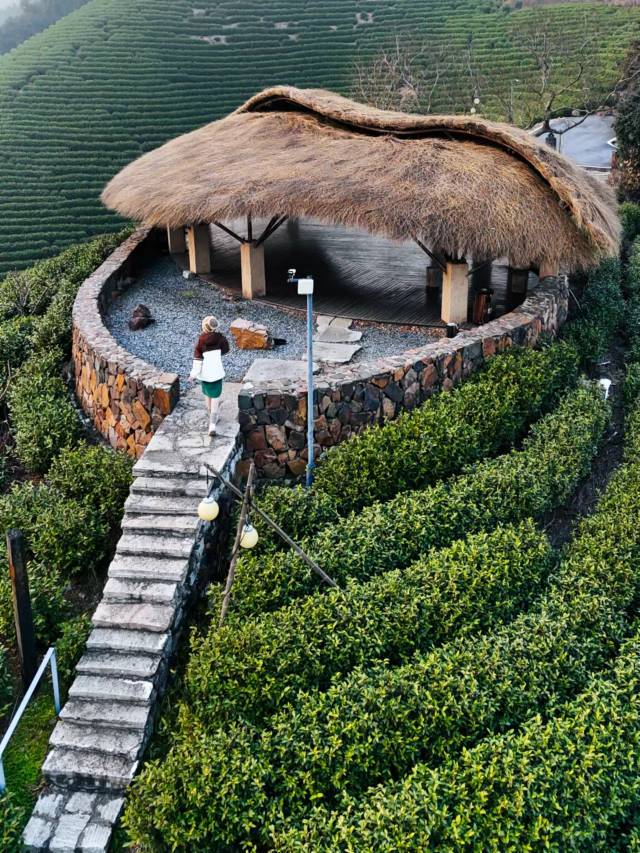 安吉·君澜老庄山居汤泉度假酒店图片